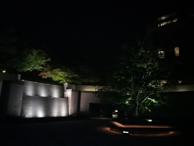 P_20180803_221142