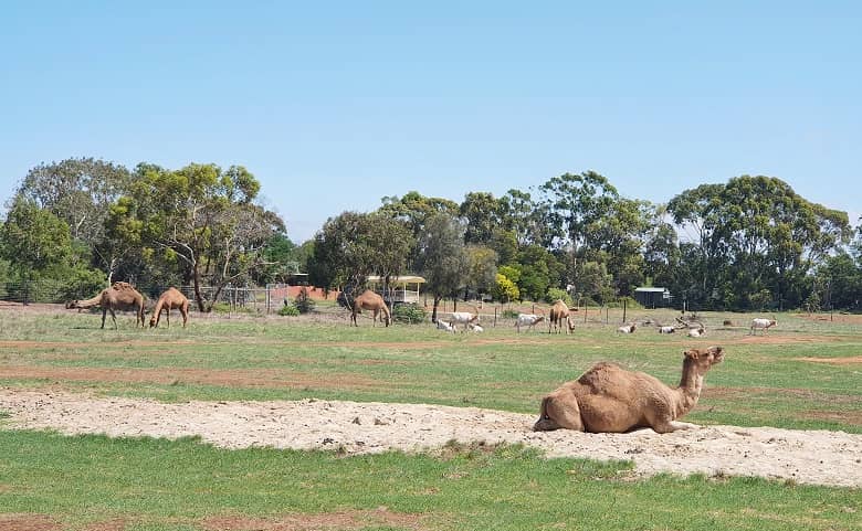 8-Days Road Tour Around Western NSW