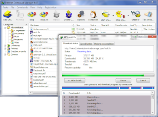 Internet Download Manager (IDM)