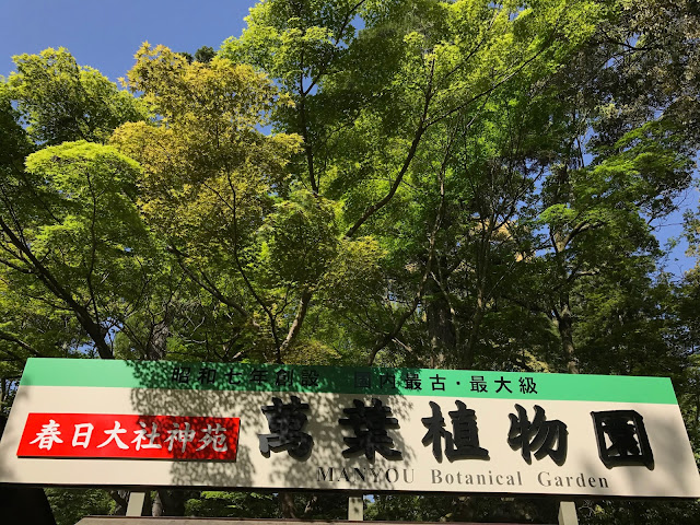 萬葉植物園, 春日大社