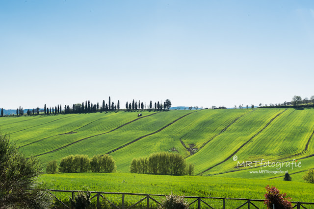 Agriculture in Toscane