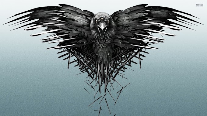 Game Of Thrones Wolf Wallpaper