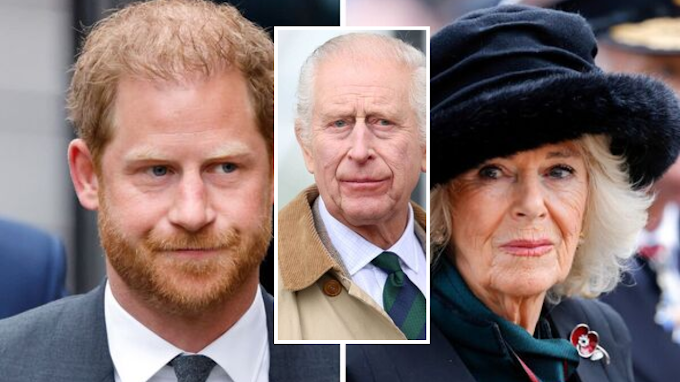 Queen Camilla: Roadblock in Prince Harry, King Charles Reconciliation