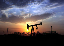 Putin finds partner in Africa: oil fields under control 