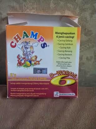 INI BLOG MIMIZIOUSLICIOUS: Champs TabletPenyelesaian 