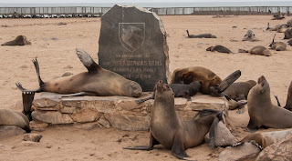 Leones marinos en Cape Cross