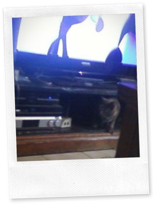 lizzy under tv