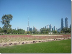 P1050002