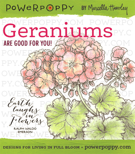  http://powerpoppy.com/products/geraniums