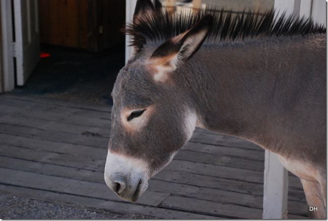 03-25-16 RT Emerald Cove Oatman EC (205)