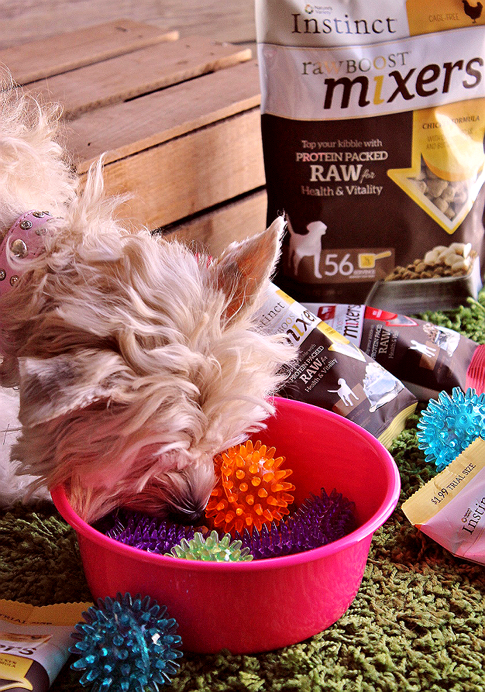 Nature's Variety Instinct® Raw Boost Mixers feature protein rich RAW ingredients you can mix in to your pet's everyday food for an ancestral diet boost they crave and need. Pick up a sample pack in 1 of 4 delicious varieties at PetSmart today and #MixItUp. AD