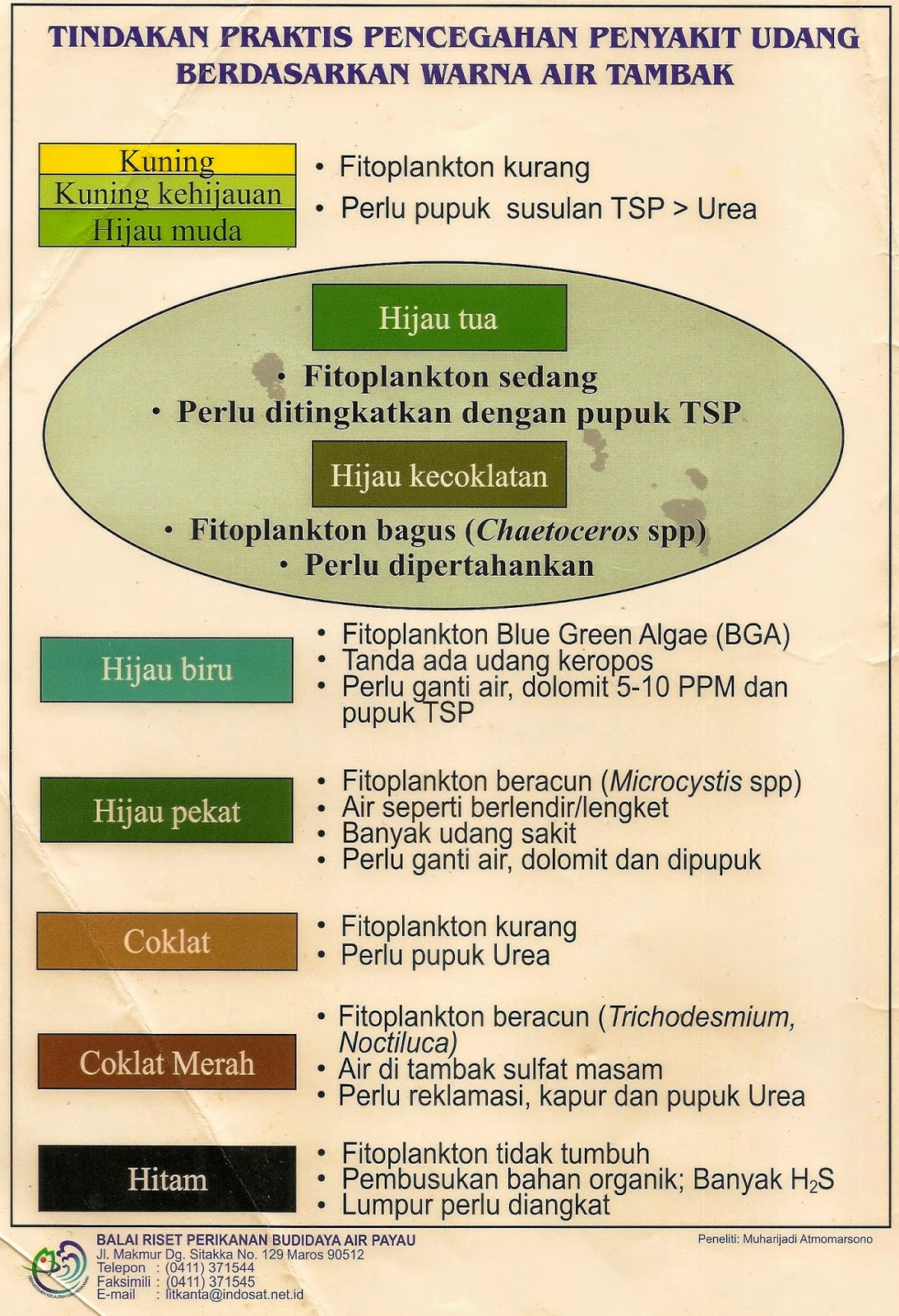 balebete baunajuku Tindakan Praktis Pencegahan Penyakit 