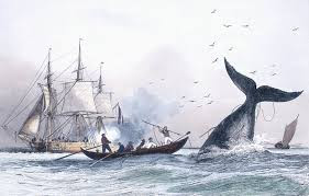pays basque autrefois marins pêcheurs baleine