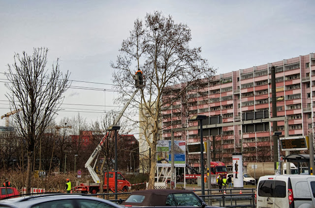 Baustelle Baumfällarbeiten, Otto-Braun-Straße / Mollstraße, 10178 Berlin, 13.02.2014