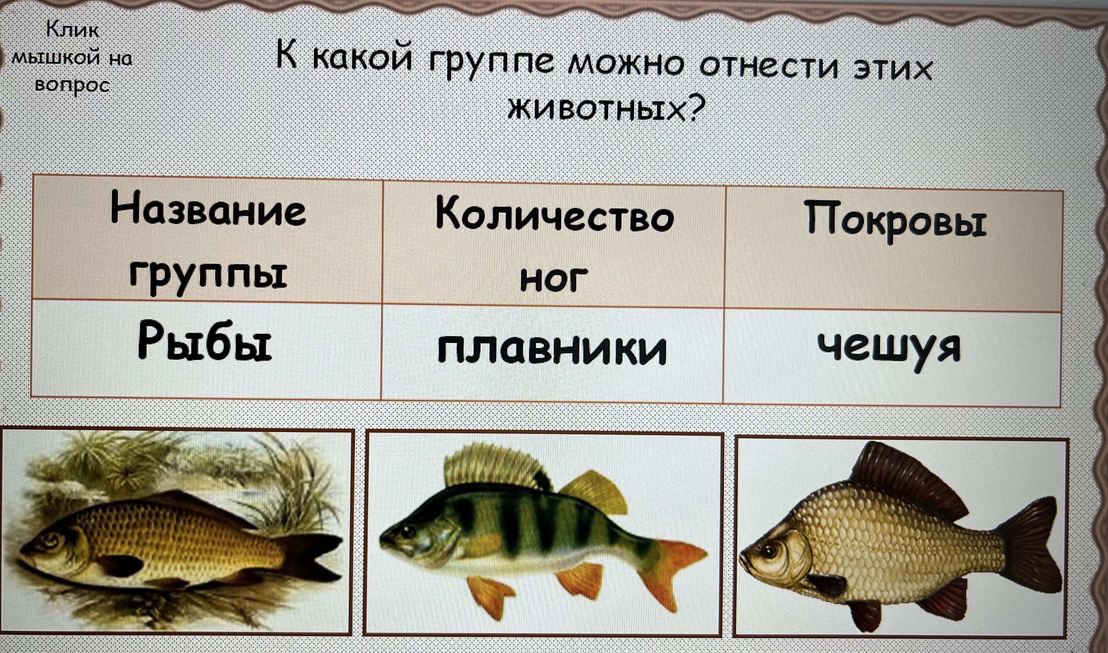 Название групп рыб. Рыбы группа животных 2 класс. Количество ног у рыб. К какой группе относятся рыбы. Покровы рыб.