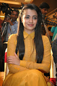 Trisha photos at Cheekati Rajyam event-thumbnail-8