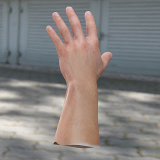 3d model male hand