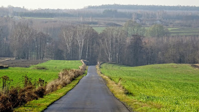 Zdjęcie: