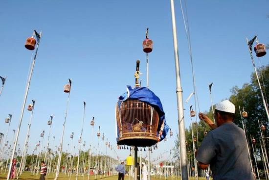 Amazing Bird Singing Contest in Yala 2010