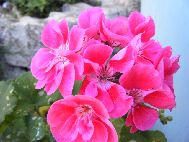 2009_11080001.JPG