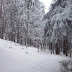 Pierwszy śnieg, choć słabowity