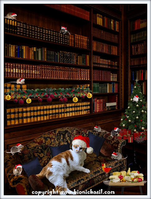 Amber's Book Reviews #302 ©BionicBasil® Amber and The Library Mice Official Pawtrait 2024