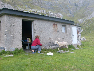 Christine et mouton à la cabane de l'Aguila
