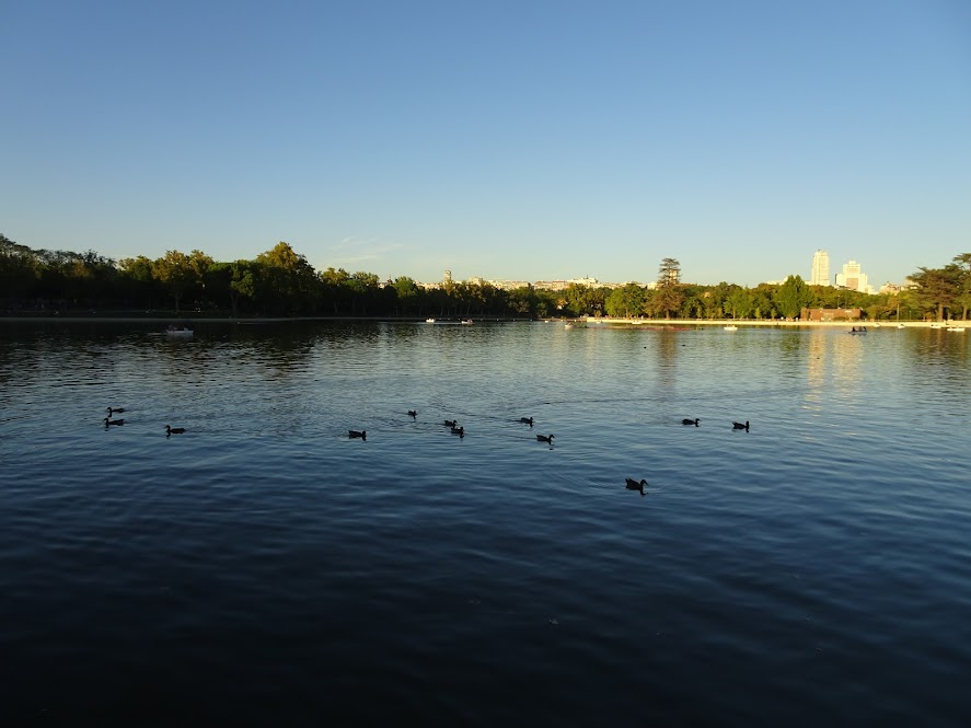 Giulia S Guide To Getafe