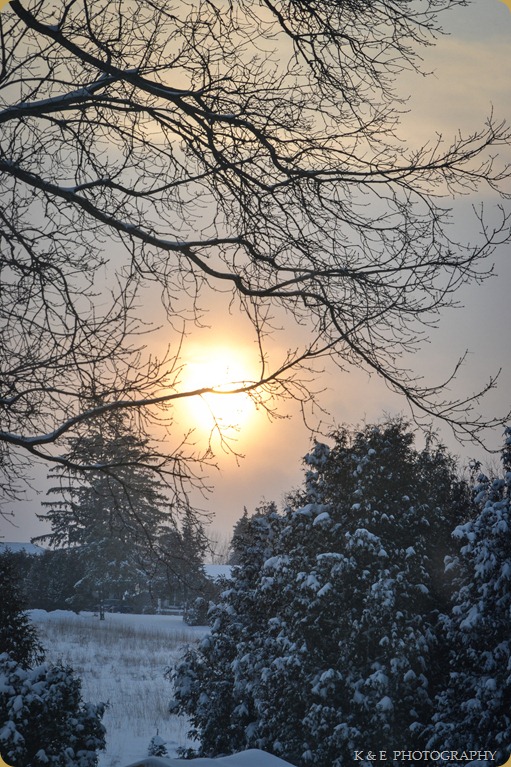 winter scene (1 of 1)-36