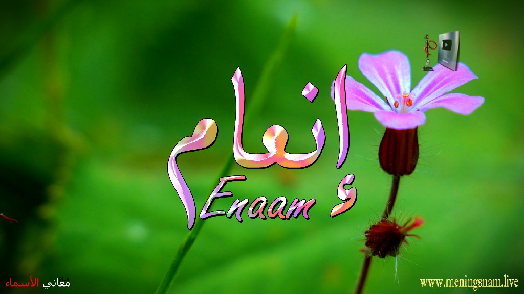 معنى اسم, إنعام, وصفات, حاملة, هذا الاسم, Enaam,