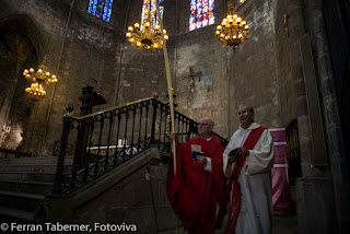 Ferran Taberner i Raset, Fotoviva