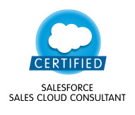 Sales Cloud Consultant Certification