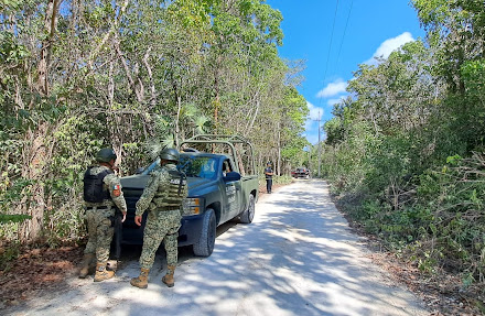 Encuentran taxi quemado y tres cuerpos en inmediaciones de Akumal