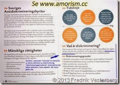 DSC00339. Mänskliga rättighetsdagarna 2013. Sveriges antidiskrimineringsbyråer