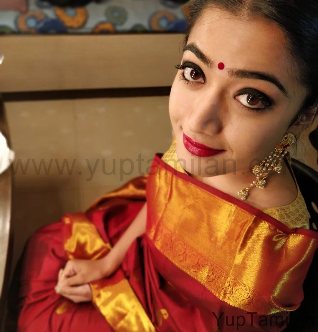 Rashmika-Mandanna Hot Saree Stills-Beautiful Saree Pics