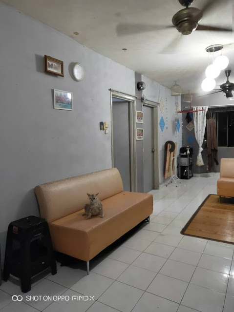 Apartment Lestari Bandar Sri Permaisuri For Sale Interested Whatsapp 011 3290 7240 Living Area 01