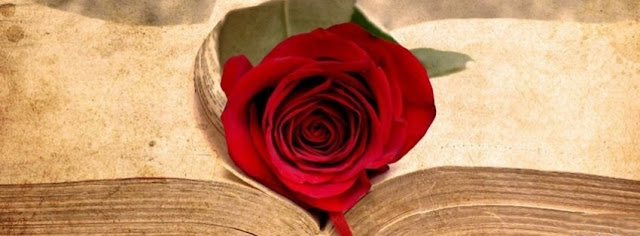 Happy Rose Day 