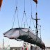 Japan Commerical Whaling to resume after a long time International Ban