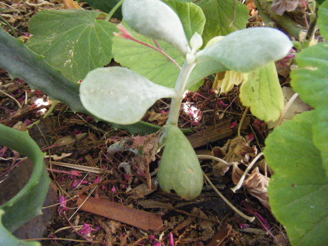 2010_07110006.JPG