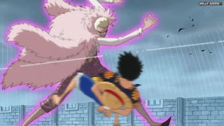 ワンピースアニメ ドレスローザ編 700話 ドフラミンゴ ドフィ DonQuixote Doflamingo | ONE PIECE Episode 700