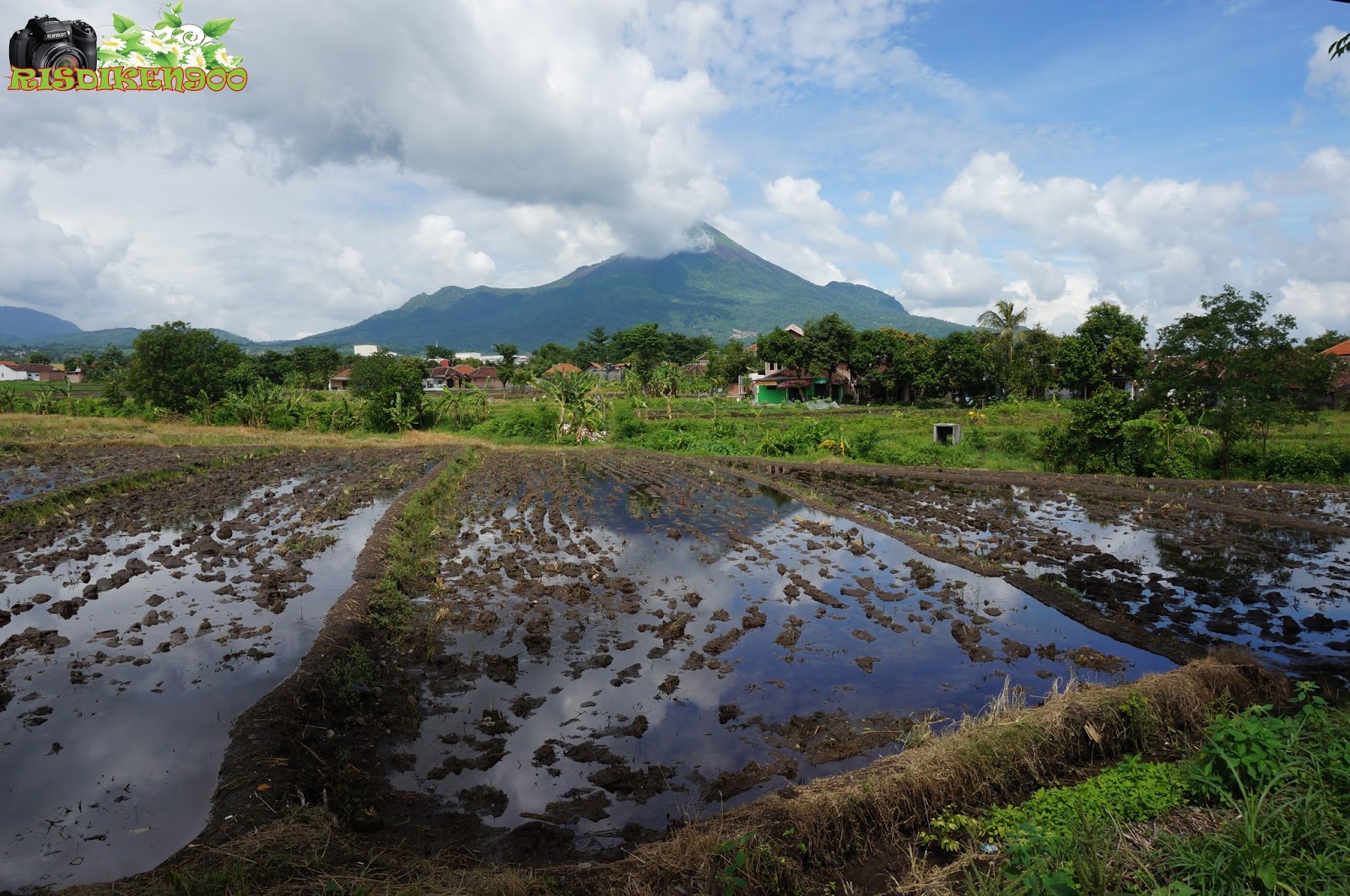 Perjalananku Pemandangan Gunung Arjuna Welirang 23 