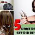 How to Get Rid of Split Ends - Best Home Remedies