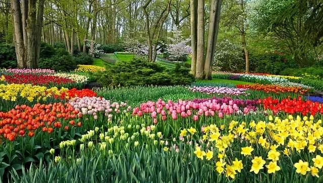 5 beautiful places to visit in the world, Tulip garden Keukenhof