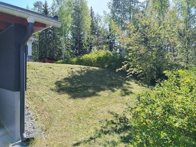 #Ruohonleikkauspalvelu #nurmikonleikkaukset #Tampere #Ylöjärvi #Pirkkala Nokia #pihatyöt #talonmiespalvelu@gmail.com 1.6.2025 kuva33