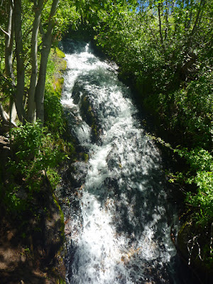 A waterfall next to Van Sickle Trail