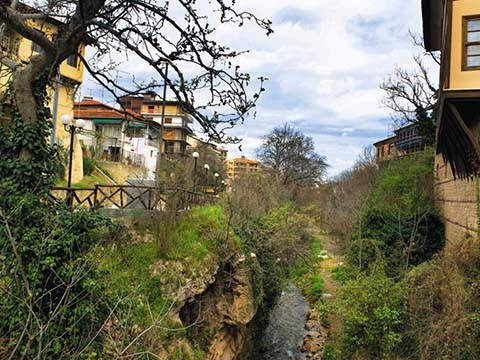 Κόβουν παράνομα τα δέντρα της Μπαρμπούτας