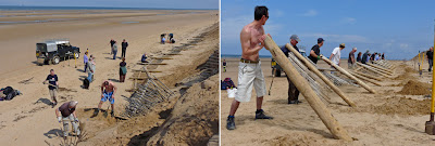 colage of 2 photos - getting the fence out the sand, ready to put it back