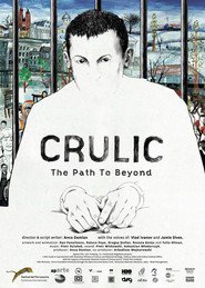 Se Film Crulic - drumul spre dincolo 2011 Streame Online Gratis Norske