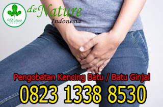 https://obatpeluruhbatuginjal.blogspot.com/2019/03/nama-obat-kencing-batu-paling-ampuh-di.html