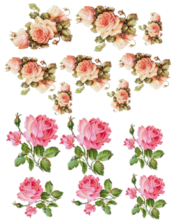  Pink Roses